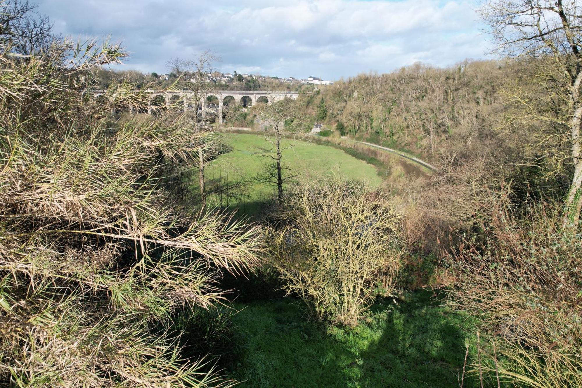 O Bois Dormant- Studio Vue Rance River Et Viaduc De Dinan Lanvallay Ngoại thất bức ảnh